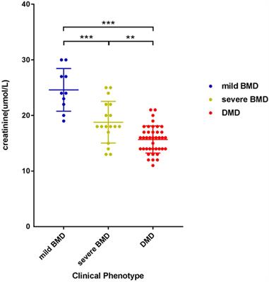 Serum Creatinine Distinguishes Duchenne Muscular Dystrophy from Becker Muscular Dystrophy in Patients Aged ≤3 Years: A Retrospective Study